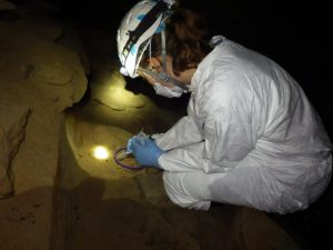 Environmental sampling in a cave