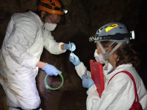 Environmental sampling in a cave